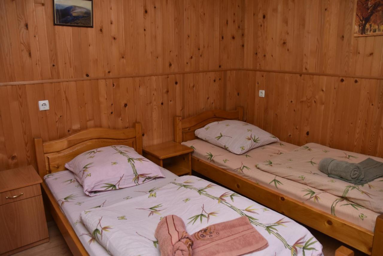 Guest House Mandrivnyi Rooms&Apartments Yasinya Buitenkant foto
