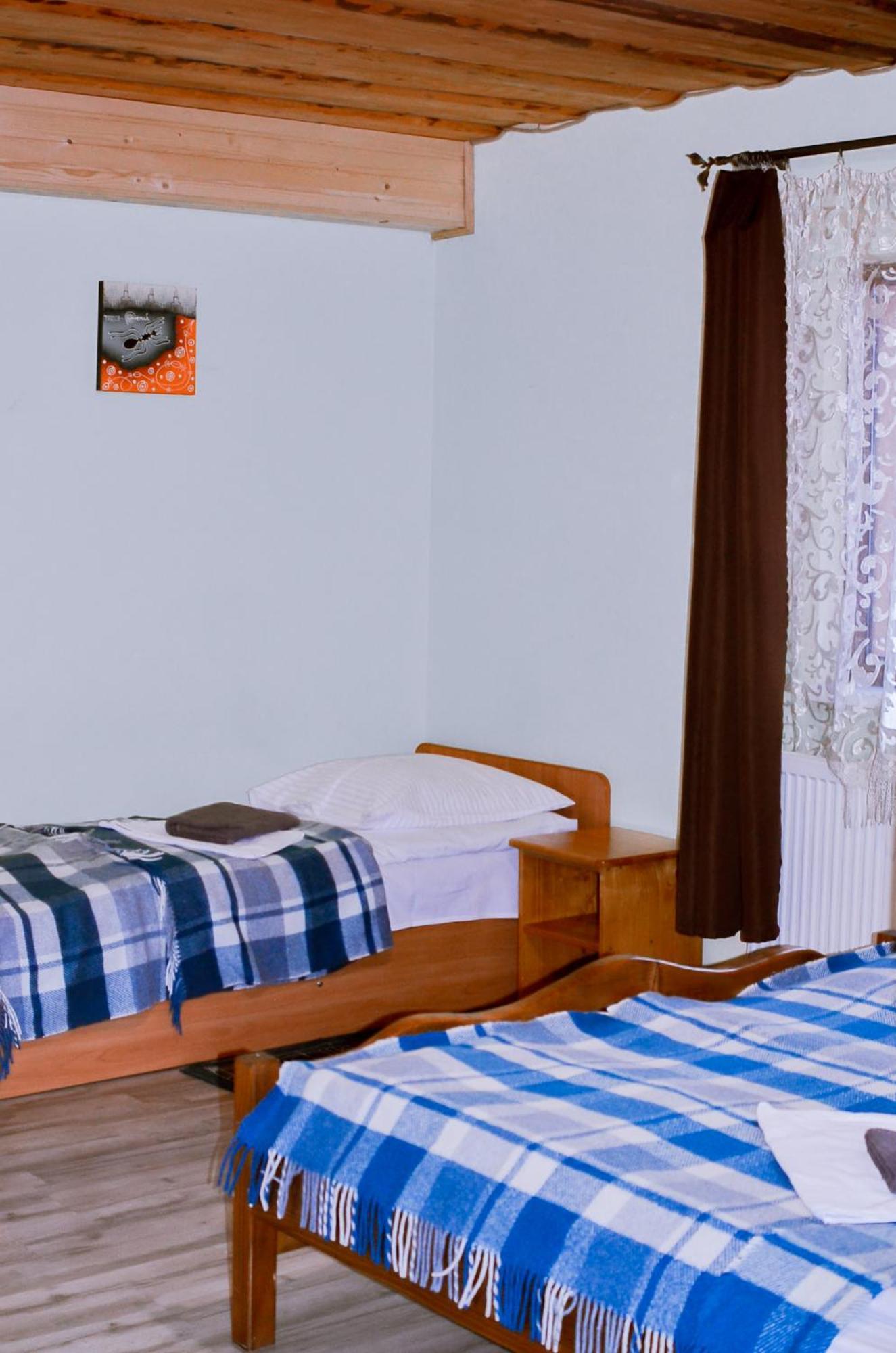 Guest House Mandrivnyi Rooms&Apartments Yasinya Buitenkant foto
